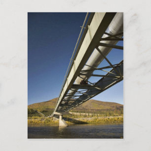Trans Alaska oil pipeline crossing South fork Koyu Postcard