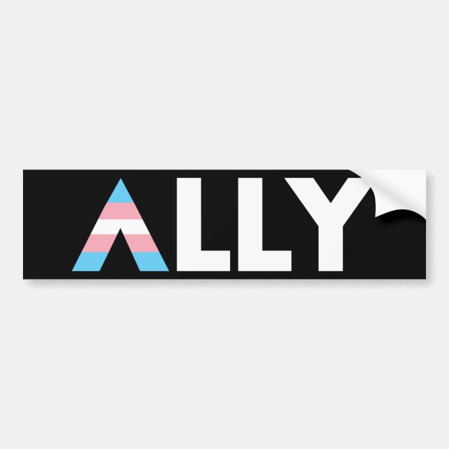 Trans Ally LGBTQ Transgender LGBT Bumper Sticker (Front)