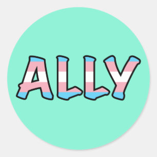Trans Ally Mint Background Classic Round Sticker