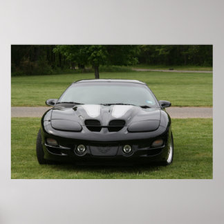 Trans Am Poster