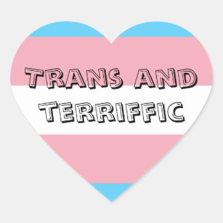 Trans and Terriffic Sticker
