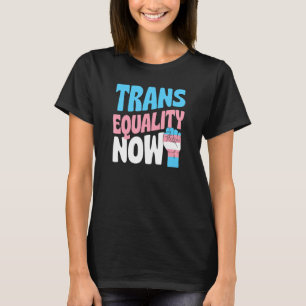 Trans Equality Now Transgender Pride Lgbtq Ally Pr T-Shirt