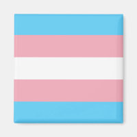 Trans Flag Magnet