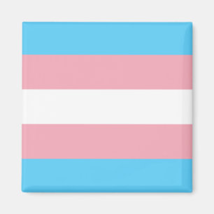 Trans Flag Magnet