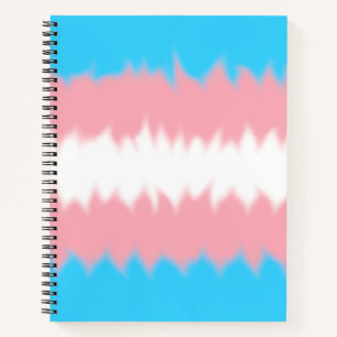 Trans Flag Notebook