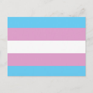 TRANS FLAG ORIGINAL -.png Postcard