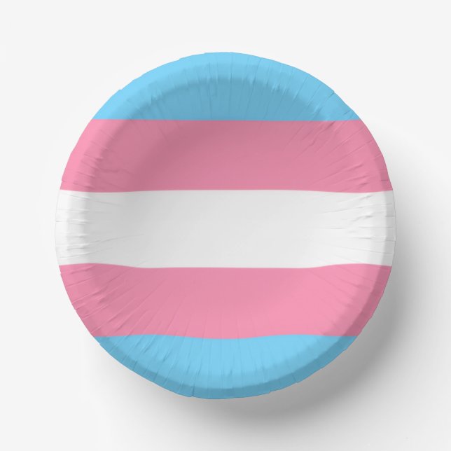 trans paper plate party decor (Front)