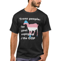 Trans people The latest scapegoat of the GOP