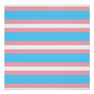 trans poster
