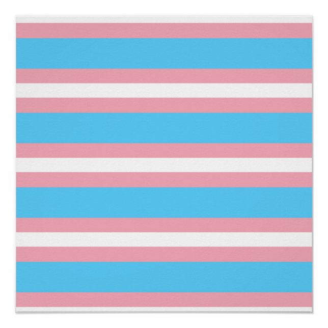 trans poster (Front)