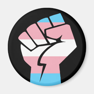 Trans Power Magnet
