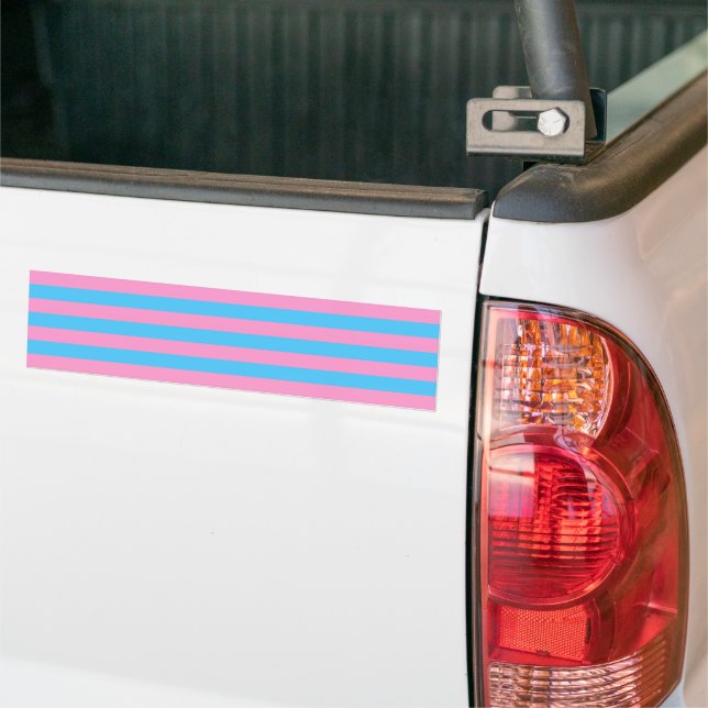 Trans Pride (1999 Historical) Bumper Sticker (On Truck)