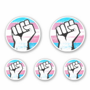 Trans Pride Fist Circle Print