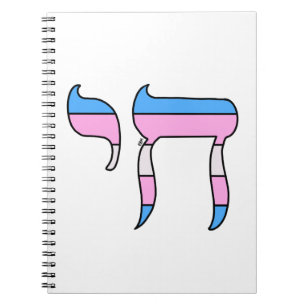 Trans Pride Flag Chai Notebook