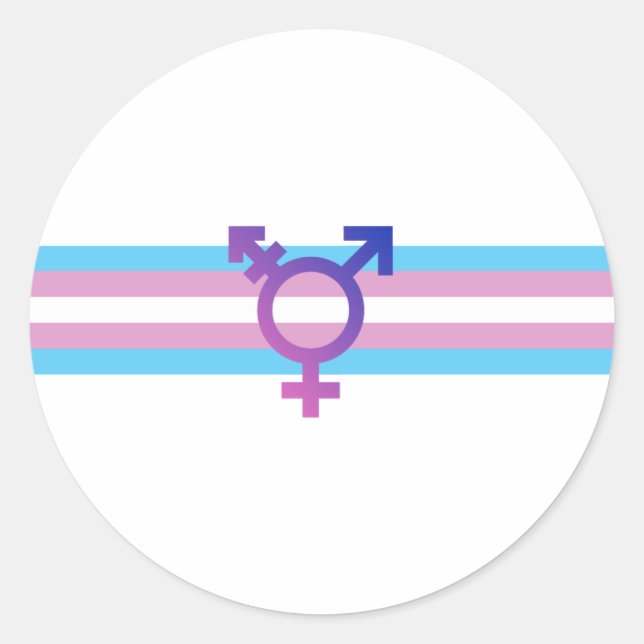 Trans Pride Flag Classic Round Sticker (Front)