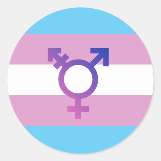 Trans Pride Flag Classic Round Sticker (Front)
