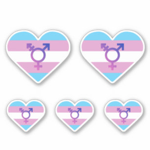 Trans Pride Flag Heart