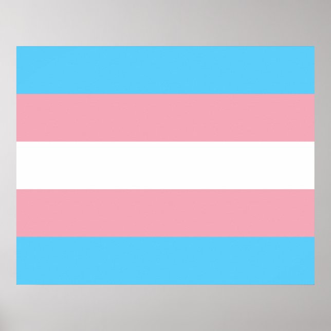 Trans Pride Flag Poster (Front)