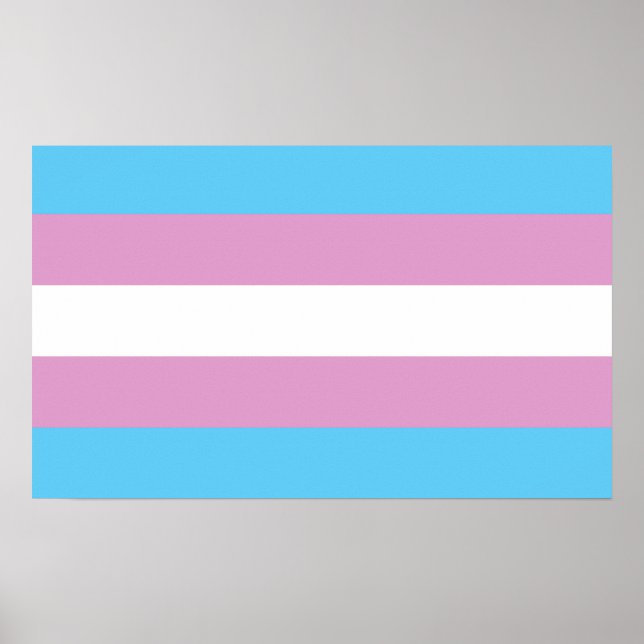 Trans Pride Flag Poster (Front)