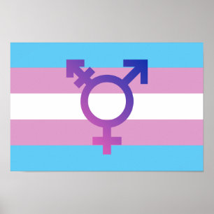 Trans Pride Flag Poster