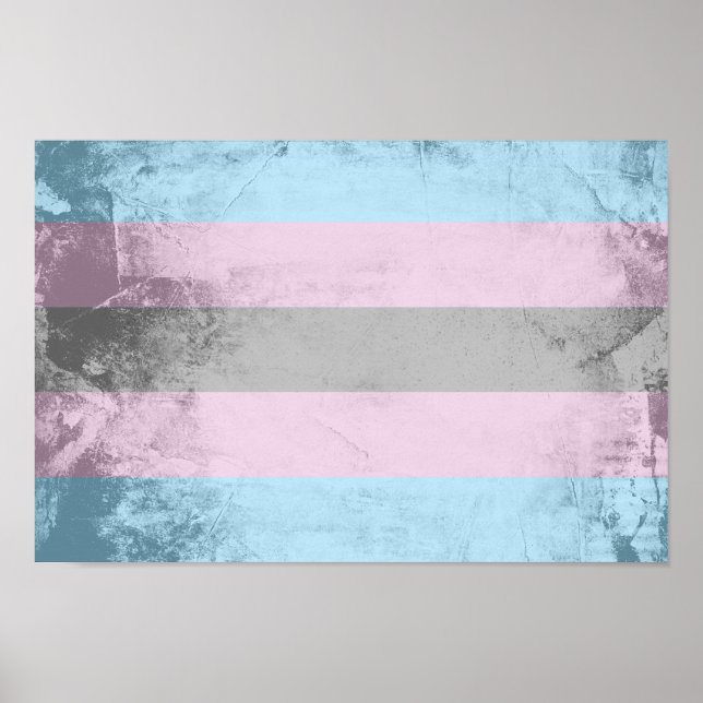 Trans Pride Flag Poster (Front)