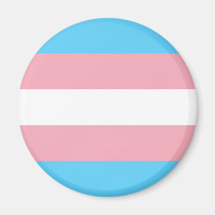 Trans Pride Magnet