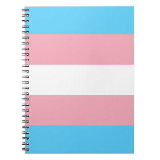 Trans Pride Notebook