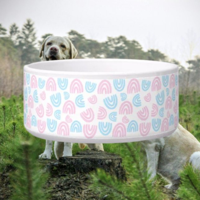 Trans Pride Pastel Rainbow Pet Bowl (Creator Uploaded)