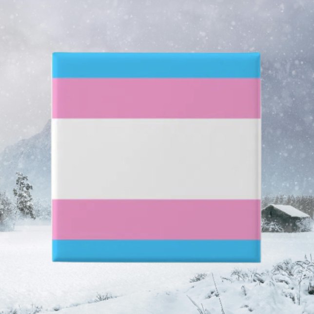 Trans Pride Pin Badge (Creator Uploaded)