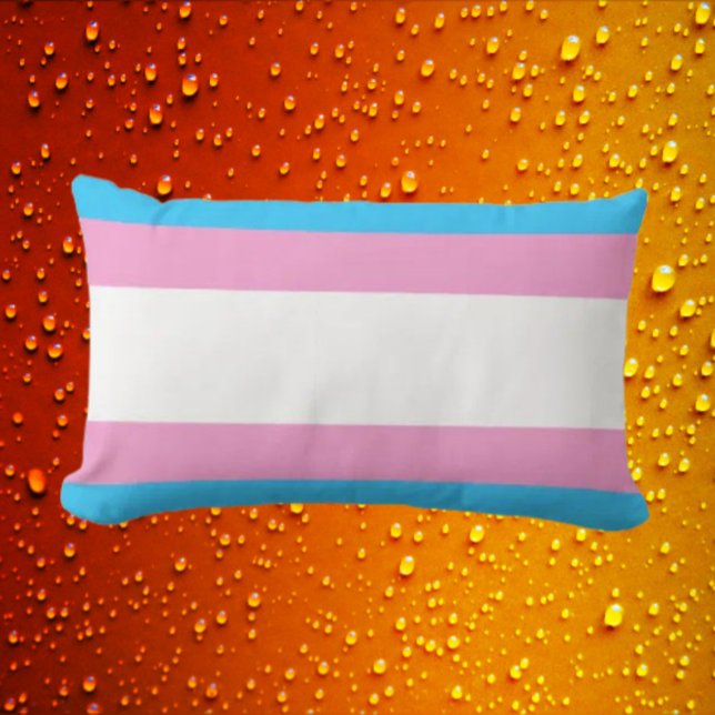 Trans Pride Support Lumbar Lumbar Cushion (Creator Uploaded)