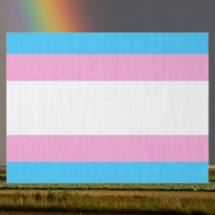 Trans Pride Tissue Delight Paper