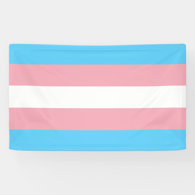 Trans Pride (Transgender Pride) Flag Banner (Horizontal)