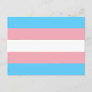Trans Pride (Transgender Pride) Flag Postcard