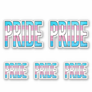Trans Pride Word