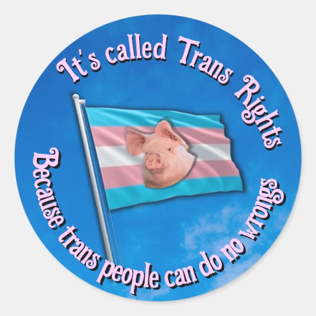 Trans Rights Sticker (Front)