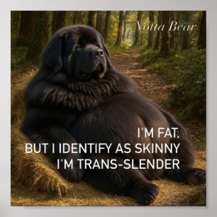 Trans-slender  poster