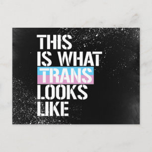 Trans - This is what Trans looks like - - LGBTQ Ri Postcard