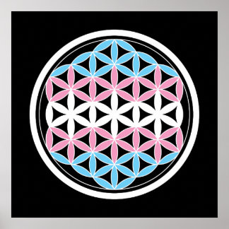 tranSacred geometry Poster