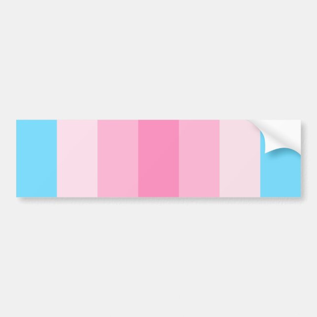 Transfeminine Pride Bumper Sticker (Front)