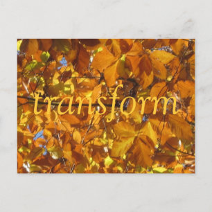 Transform Postcard