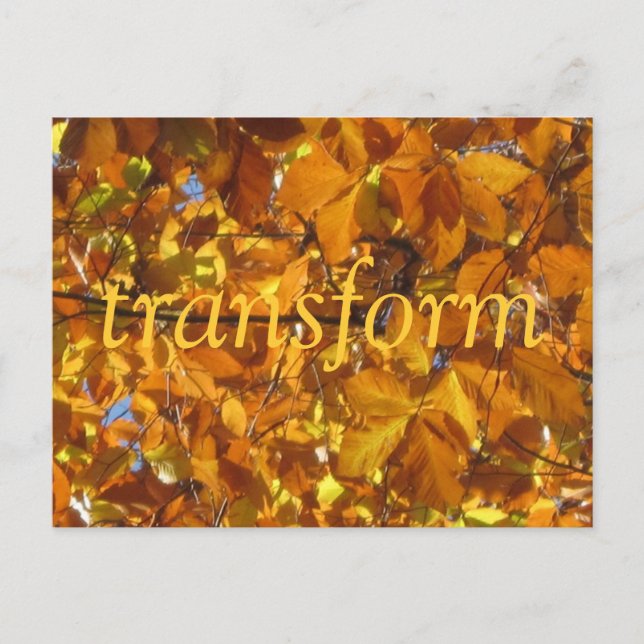 Transform Postcard (Front)
