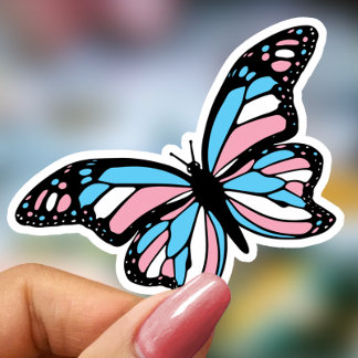 Transform Transgender Pride LGBTIQ 