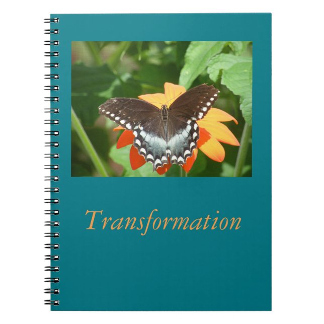 Transformation Journal (Front)