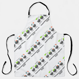 Transformational Process Inside Enzyme Substrate Apron