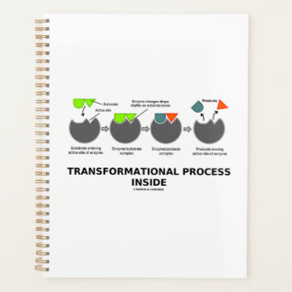 Transformational Process Inside Enzyme Substrate Planner