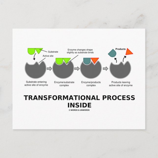 Transformational Process Inside (Enzyme Substrate) Postcard (Front)