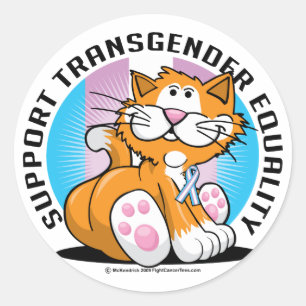 Transgender Cat Classic Round Sticker