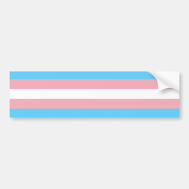 Transgender Flag Bumper Sticker (Front)
