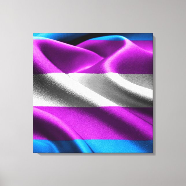 Transgender Flag Canvas Print (Front)