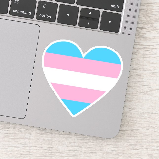 Transgender Flag Heart (Detail)